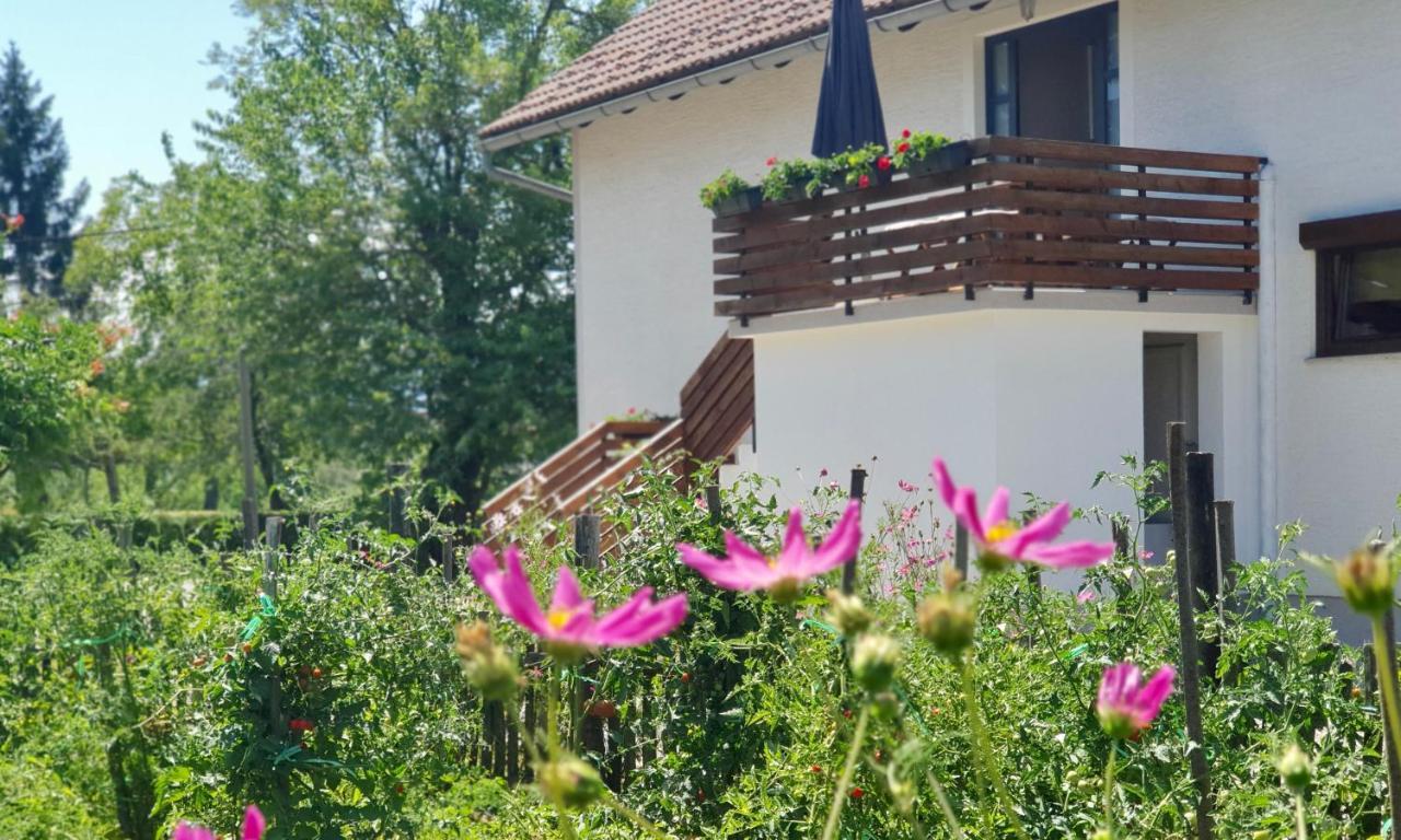 Apartment Murva Drežnik Grad Dış mekan fotoğraf