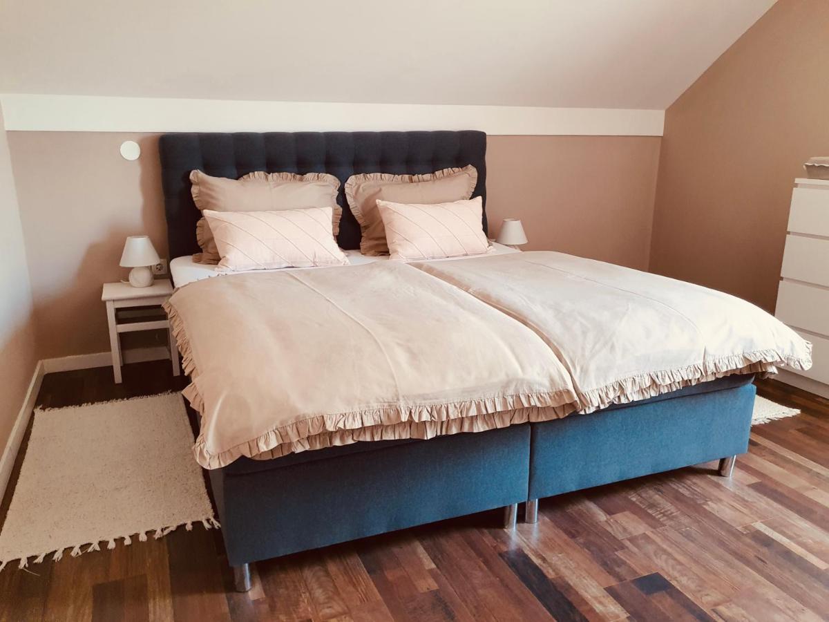 Apartment Murva Drežnik Grad Dış mekan fotoğraf