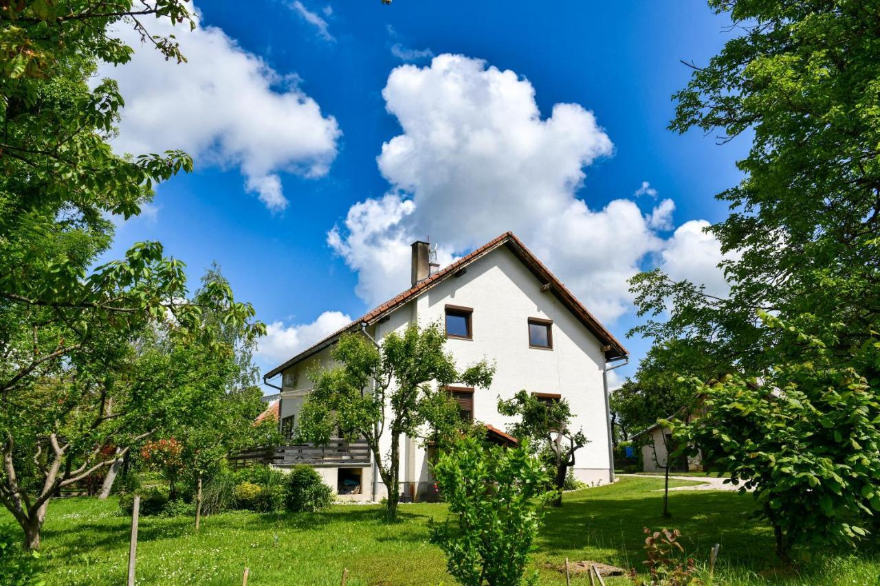 Apartment Murva Drežnik Grad Dış mekan fotoğraf