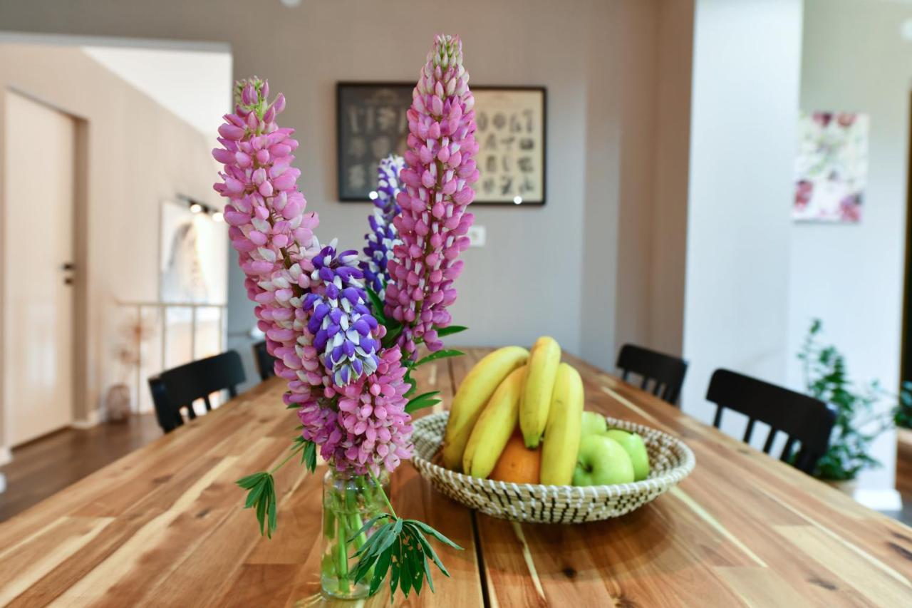 Apartment Murva Drežnik Grad Dış mekan fotoğraf